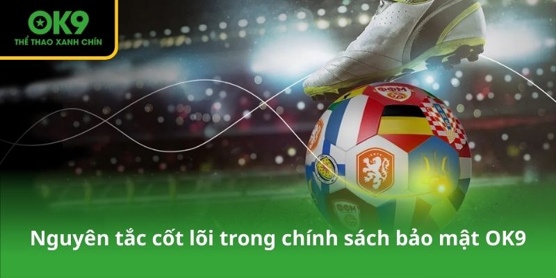 Nguyên tắc cốt lõi trong chính sách bảo mật OK9